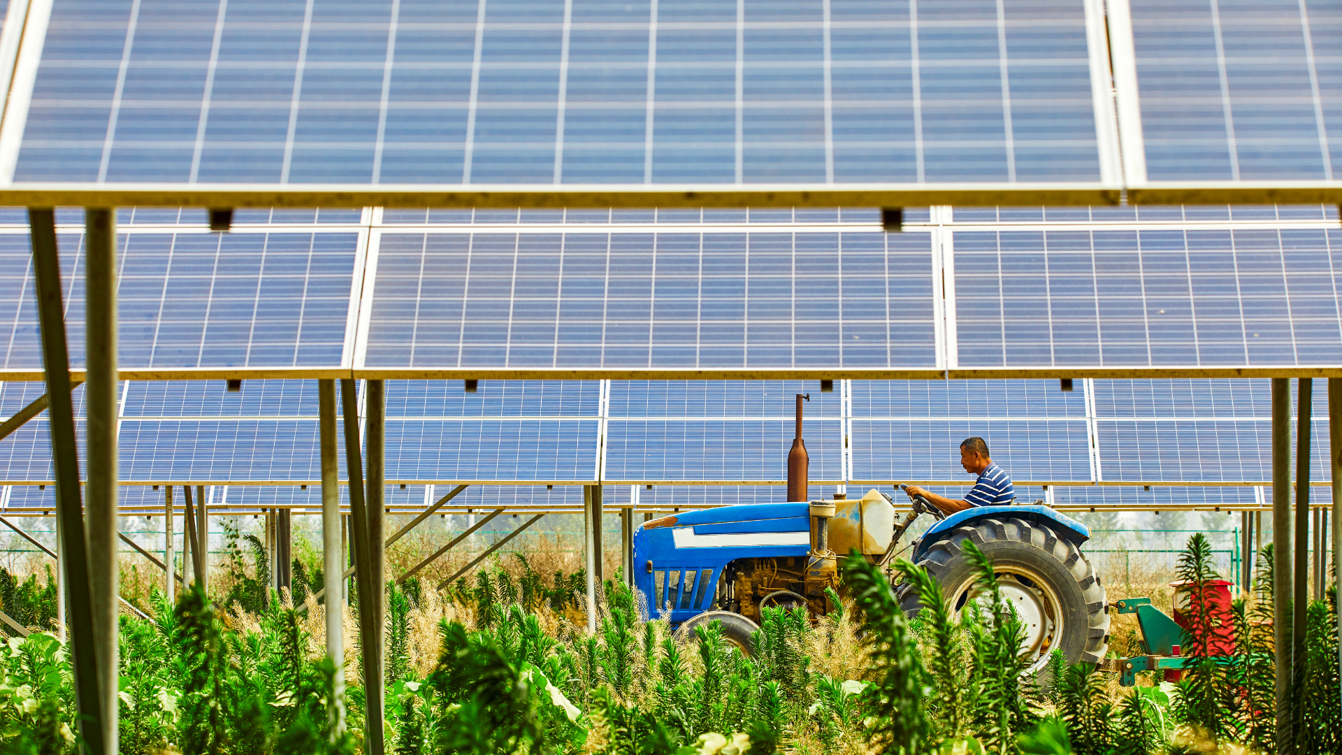 Installation solaire au sol sur terrain agricole, destiné au agriculteurs